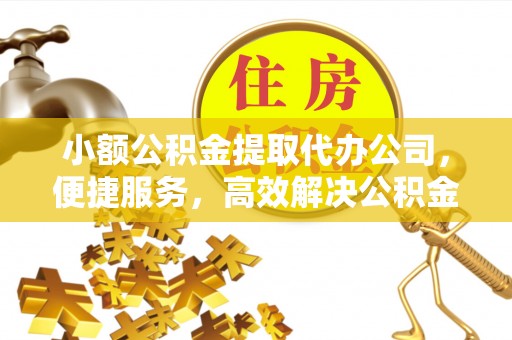 陇西小额公积金提取代办公司，便捷服务，高效解决公积金提取难题