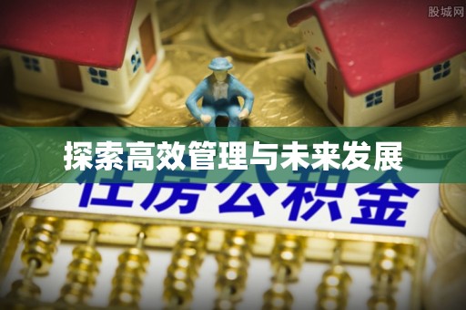 陇西探索高效管理与未来发展