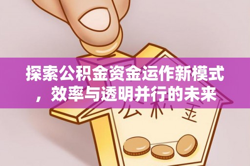 陇西探索公积金资金运作新模式，效率与透明并行的未来