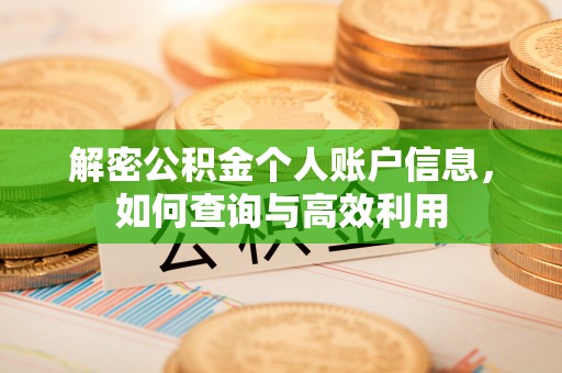 陇西解密公积金个人账户信息，如何查询与高效利用