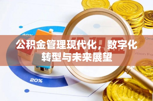 陇西公积金管理现代化，数字化转型与未来展望