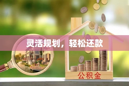 陇西灵活规划，轻松还款