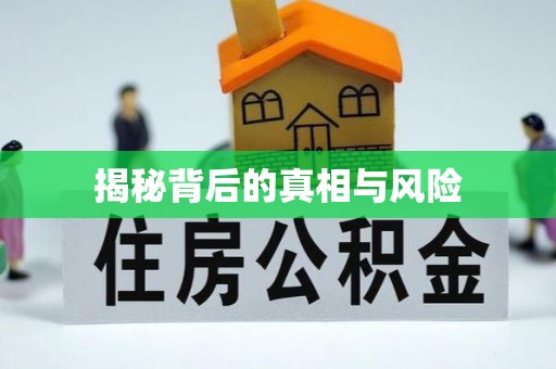 陇西揭秘背后的真相与风险