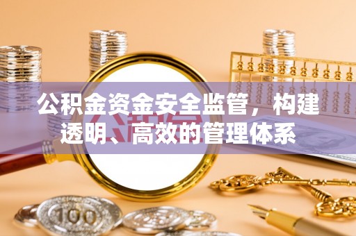 陇西公积金资金安全监管，构建透明、高效的管理体系