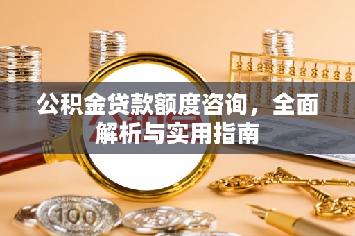 陇西公积金贷款额度咨询，全面解析与实用指南