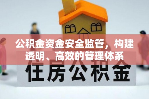 陇西公积金资金安全监管，构建透明、高效的管理体系