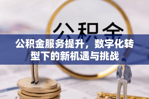 陇西公积金服务提升，数字化转型下的新机遇与挑战