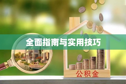 陇西全面指南与实用技巧