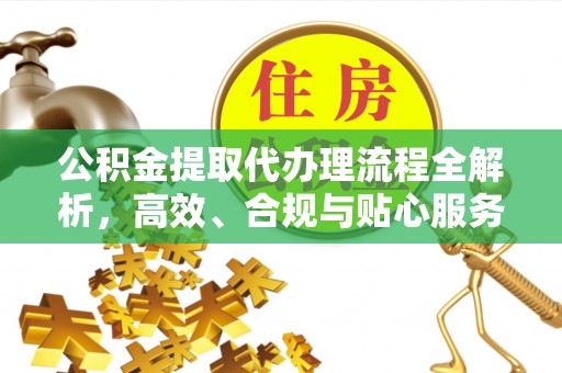 陇西公积金提取代办理流程全解析，高效、合规与贴心服务