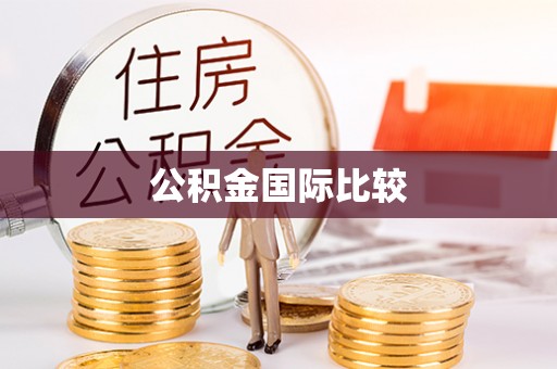 陇西公积金国际比较