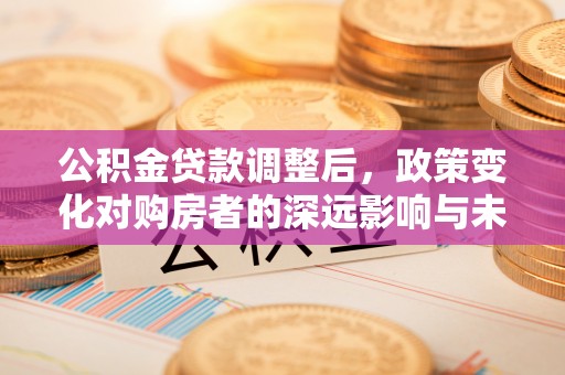 陇西公积金贷款调整后，政策变化对购房者的深远影响与未来趋势分析