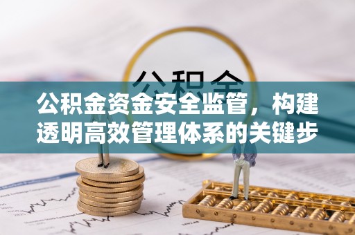 陇西公积金资金安全监管，构建透明高效管理体系的关键步骤