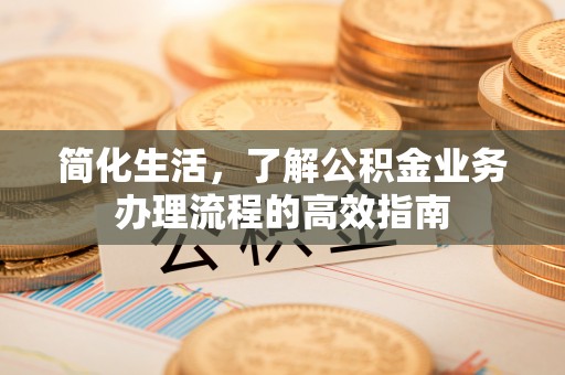陇西简化生活，了解公积金业务办理流程的高效指南