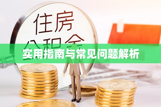 陇西实用指南与常见问题解析