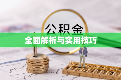 陇西全面解析与实用技巧