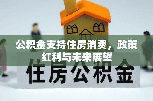 陇西公积金支持住房消费，政策红利与未来展望