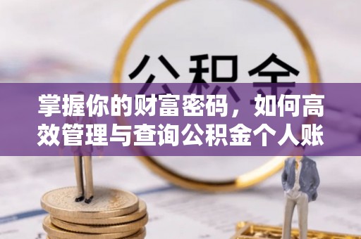 陇西掌握你的财富密码，如何高效管理与查询公积金个人账户信息