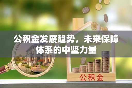 陇西公积金发展趋势，未来保障体系的中坚力量