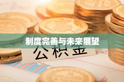 陇西制度完善与未来展望