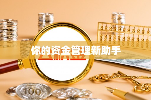 陇西你的资金管理新助手