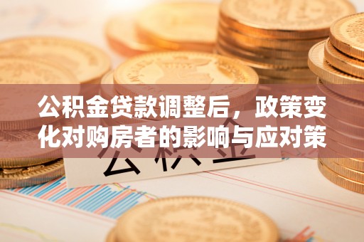 陇西公积金贷款调整后，政策变化对购房者的影响与应对策略