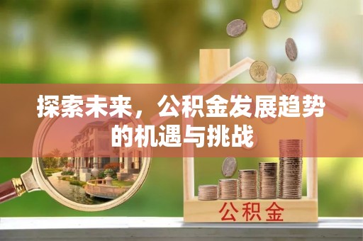 陇西探索未来，公积金发展趋势的机遇与挑战