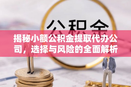 陇西揭秘小额公积金提取代办公司，选择与风险的全面解析