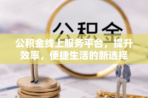 陇西公积金线上服务平台，提升效率，便捷生活的新选择