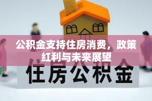 陇西公积金支持住房消费，政策红利与未来展望