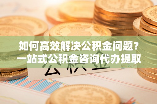 陇西如何高效解决公积金问题？一站式公积金咨询代办提取服务全解析