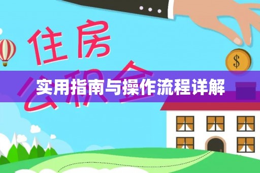 陇西实用指南与操作流程详解