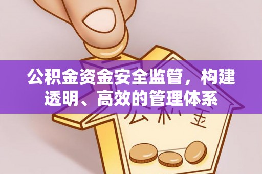 陇西公积金资金安全监管，构建透明、高效的管理体系