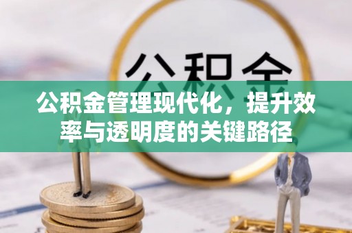 陇西公积金管理现代化，提升效率与透明度的关键路径
