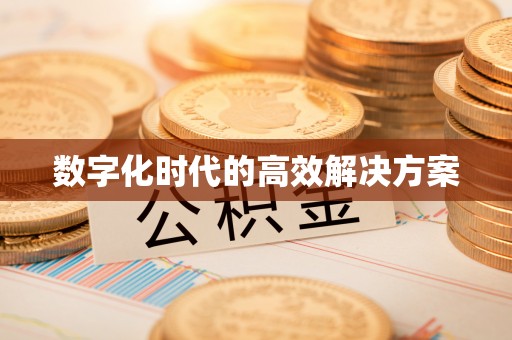 陇西数字化时代的高效解决方案