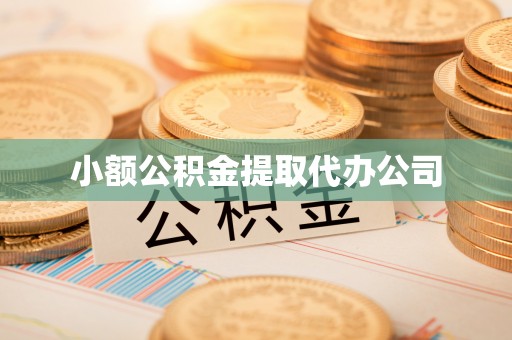 陇西小额公积金提取代办公司
