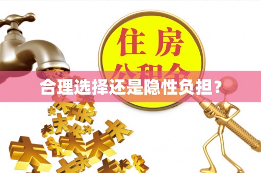 陇西合理选择还是隐性负担？