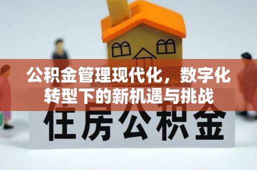 陇西公积金管理现代化，数字化转型下的新机遇与挑战