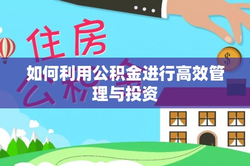 陇西如何利用公积金进行高效管理与投资