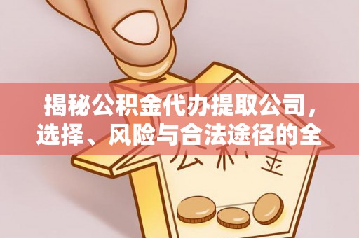 陇西揭秘公积金代办提取公司，选择、风险与合法途径的全面解析