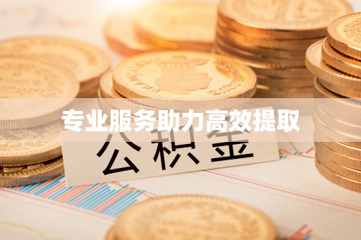 陇西专业服务助力高效提取