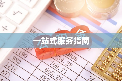 陇西一站式服务指南