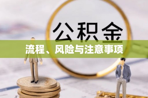 陇西流程、风险与注意事项