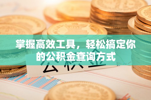 陇西掌握高效工具，轻松搞定你的公积金查询方式