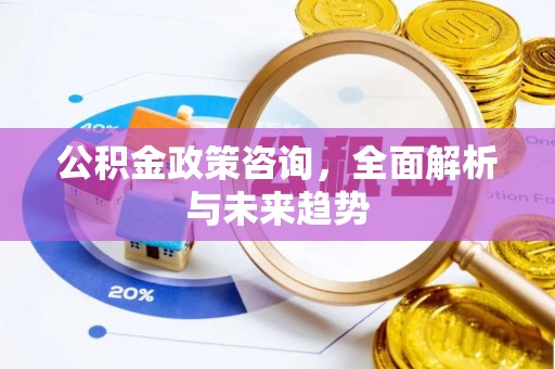 陇西公积金政策咨询，全面解析与未来趋势