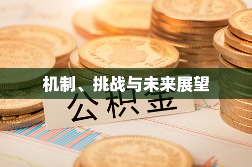 陇西机制、挑战与未来展望